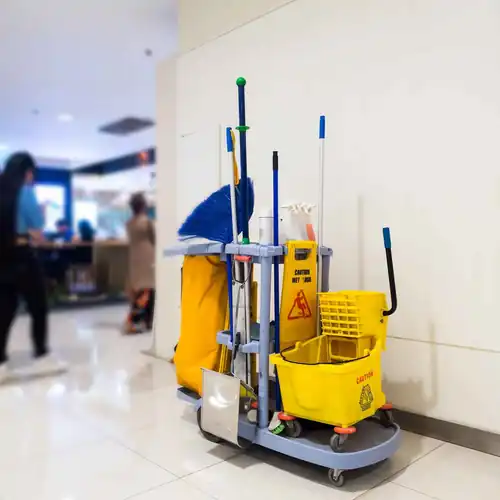 Cleaning Services